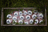 Onward Grass-Fed Box Ground Beef - Big