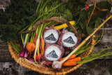 Onward Grass-Fed Beef Variety Box - Small