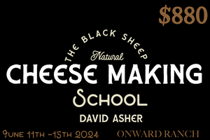 Natural Cheese Making Class - David Asher the Black Sheep School of Cheesemaking