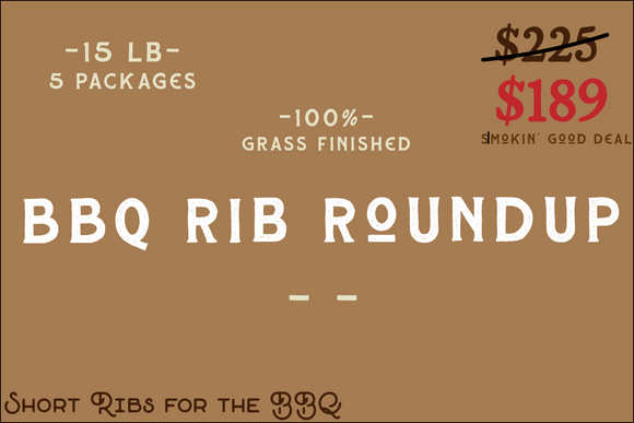 BBQ Rib Roundup