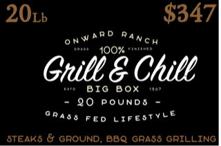 Onward Grass-Fed Beef Grill & Chill Box – Big