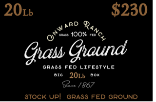 Onward Grass-Fed Box Ground Beef - Big